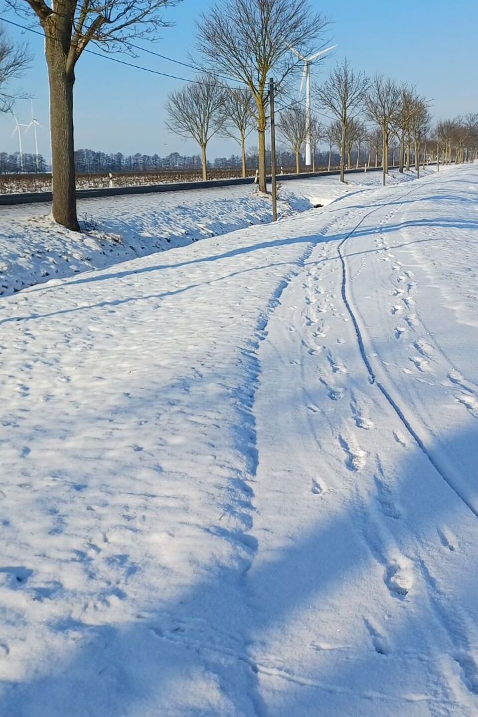 Radweg B5 Bückwitz schneebedeckt Der Rad- und Fußweg auf B5 bei Bückwitz ist nicht von Schnee geräumt